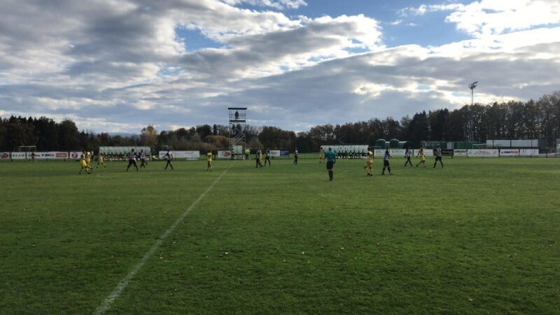 Biljenci klonili v Radomljah